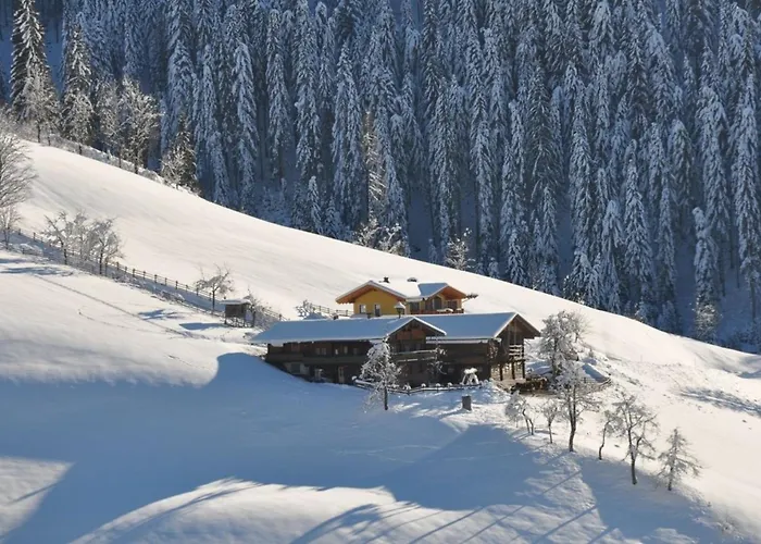 Naturblick Am Zwislegggut *